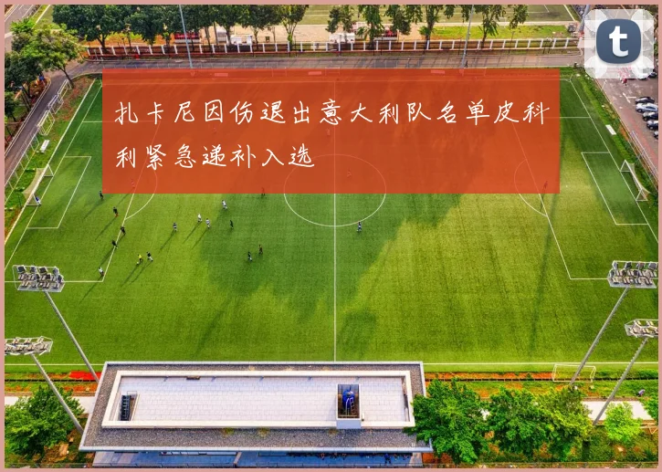 扎卡尼因伤退出意大利队名单皮科利紧急递补入选