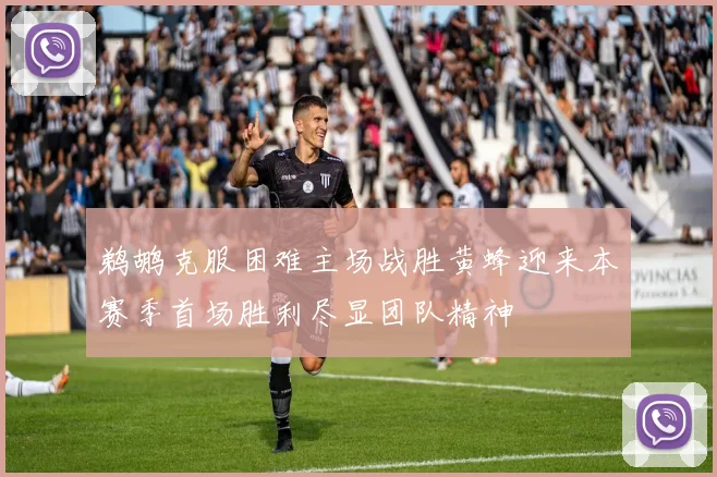鹈鹕克服困难主场战胜黄蜂迎来本赛季首场胜利尽显团队精神