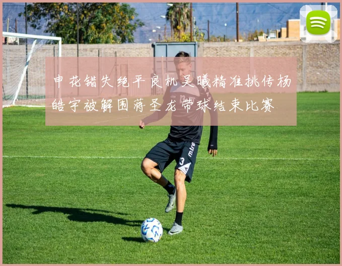 申花错失绝平良机吴曦精准挑传杨皓宇被解围蒋圣龙带球结束比赛