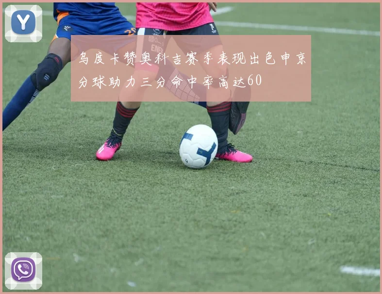 乌度卡赞奥科吉赛季表现出色申京分球助力三分命中率高达60